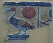 Enten